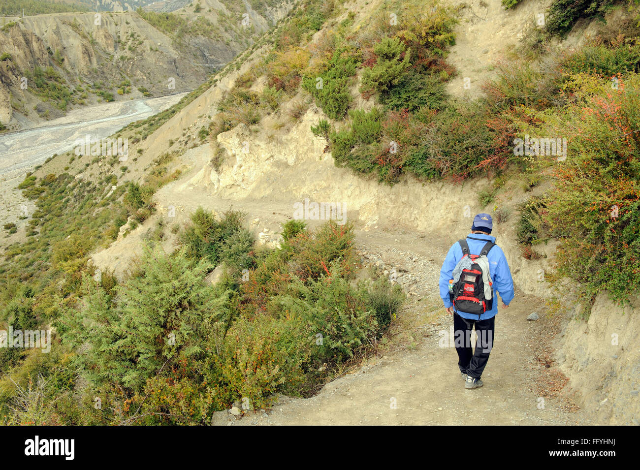 Trekker ; Manang ; Népal Banque D'Images