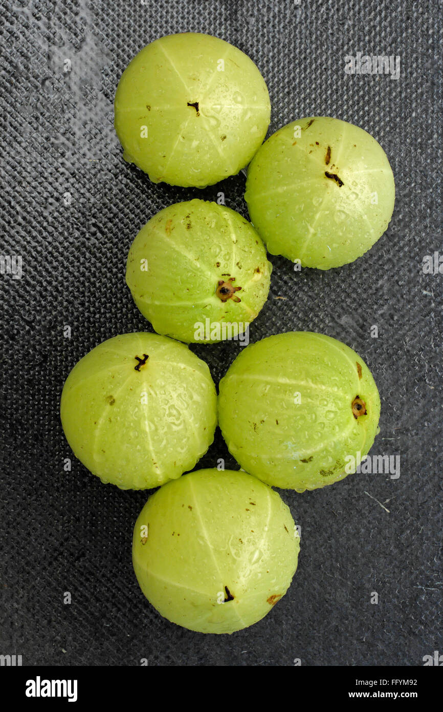 Amla, phyllanthus emblica, emblématique, myrobalan emblématique, myrobalan, Groseille de chèvre indienne, Malacca, six pièces sur fond gris, plateau de table, Banque D'Images