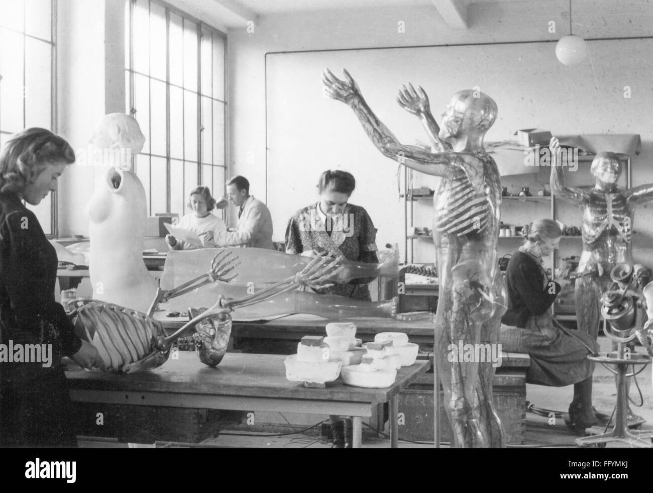 Médecine, anatomie, verre humain, atelier pour la fabrication de figures anatomiques transparentes, Musée allemand de l'hygiène, Dresde, années 1930, droits additionnels-Clearences-non disponible Banque D'Images