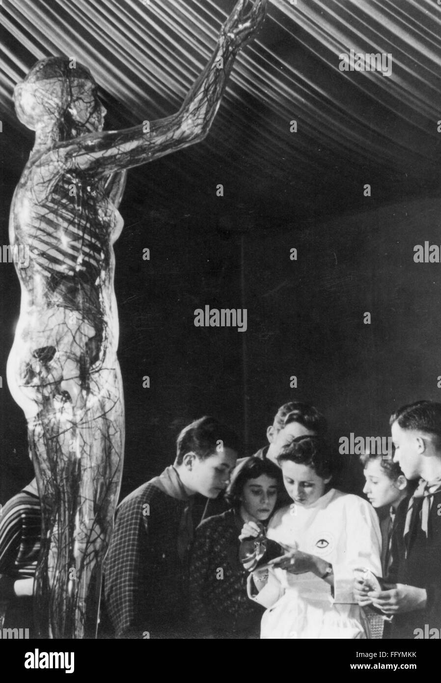 Médecine, anatomie, verre humain, présentation à la femme transparente, Musée allemand de l'hygiène, Dresde, années 1930, droits additionnels-Clearences-non disponible Banque D'Images