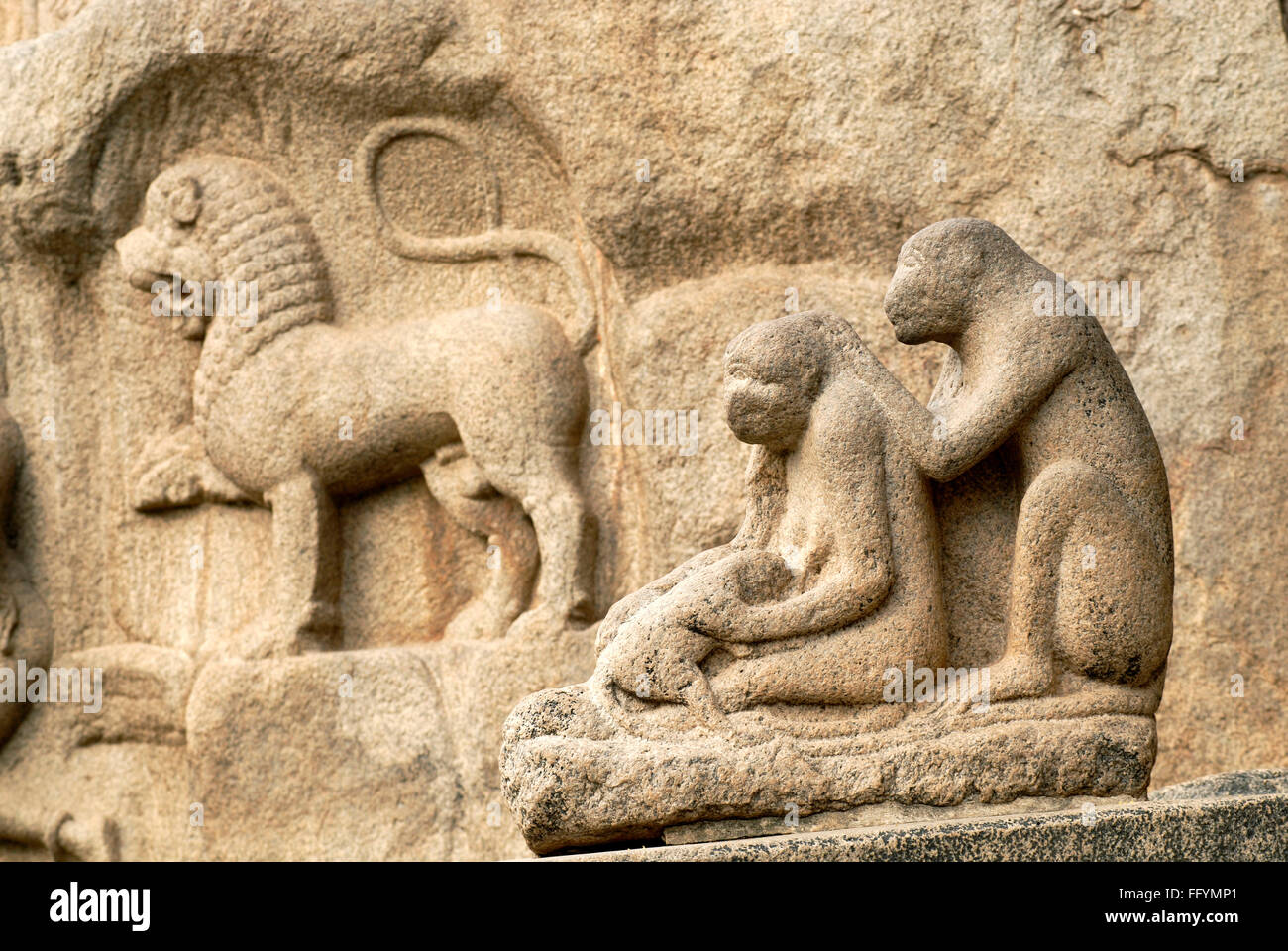 La pénitence d'Arjuna ou pénitence Bhagiratha plein air massif bas-relief monkey et lion monolith 7ème siècle à Mahabalipuram Tamil Nadu Inde Banque D'Images