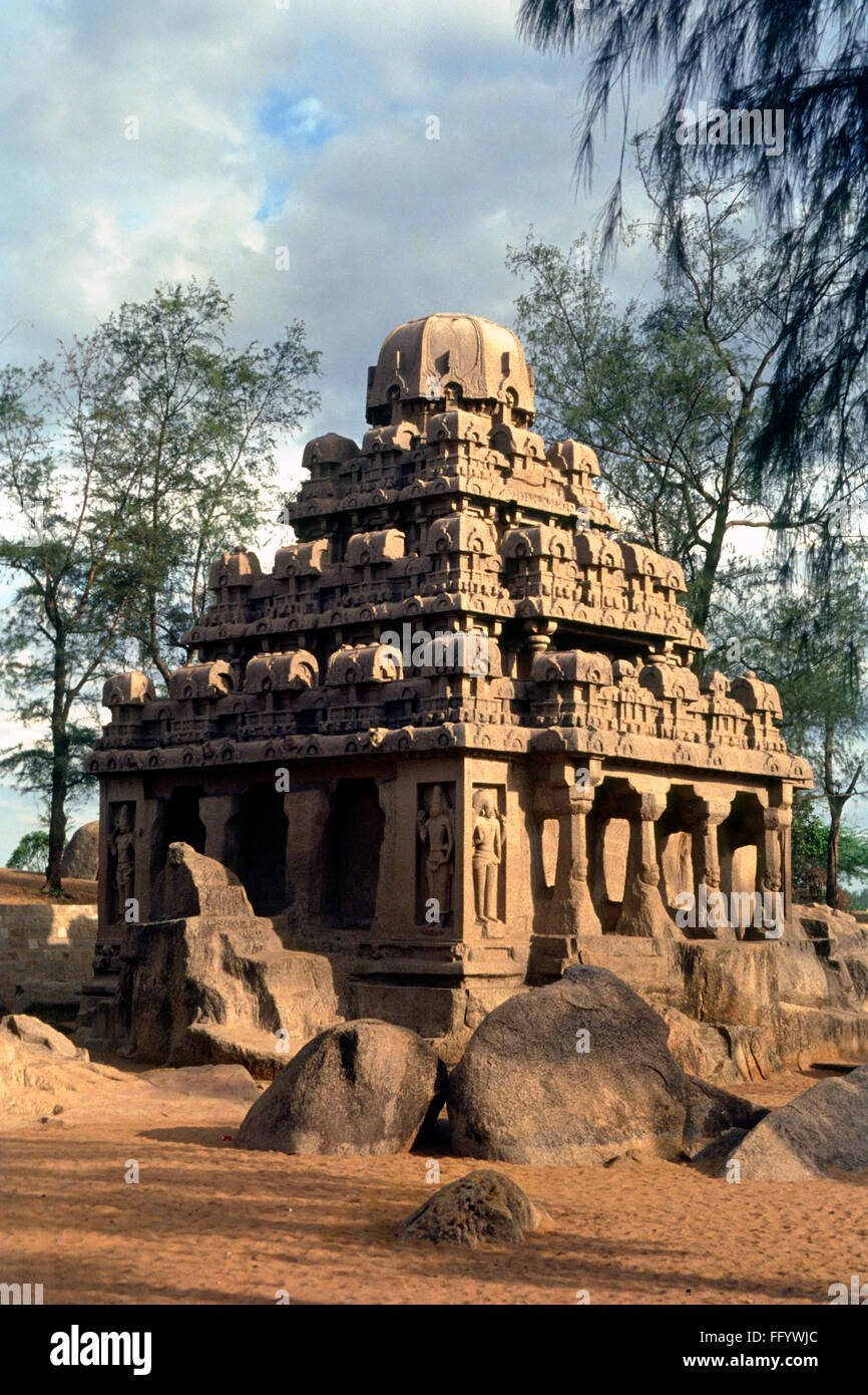 Dharmaraja rath Tamil Nadu Inde Mamallapuram Mahabalipuram Banque D'Images