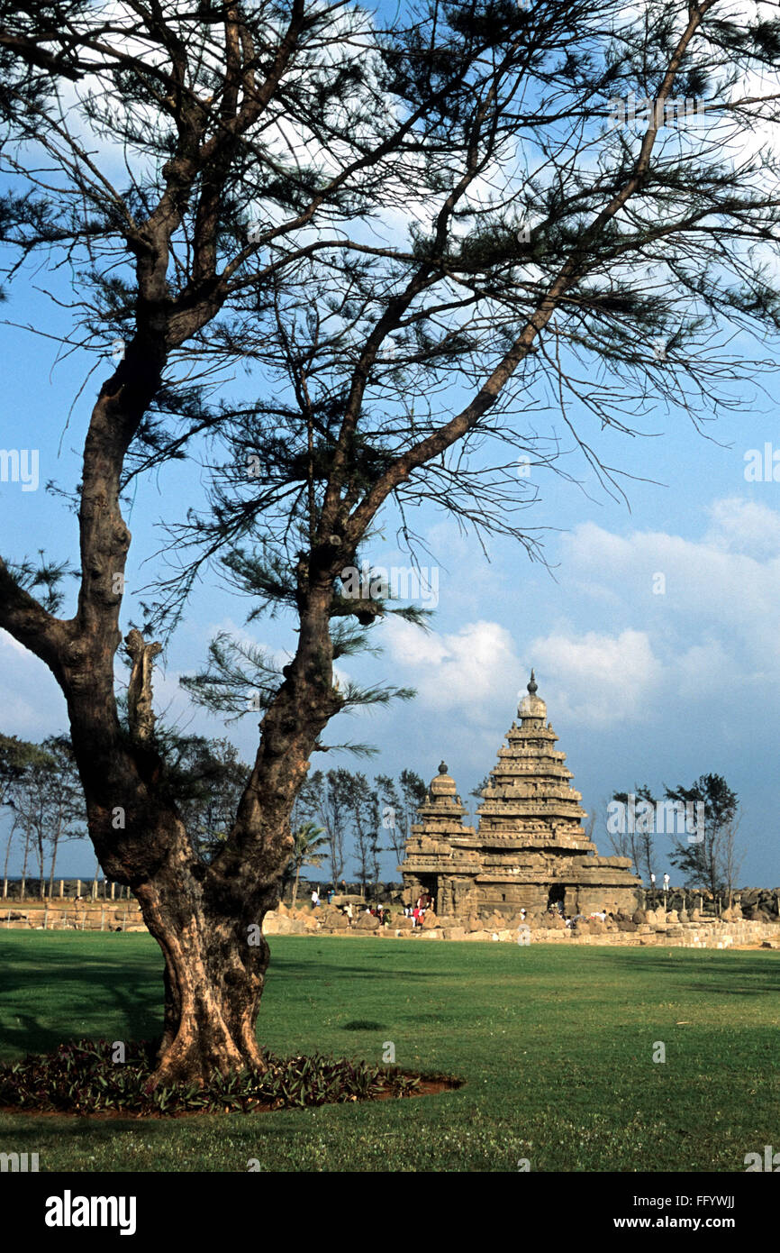 Shore temple Mamallapuram Mahabalipuram ; ; ; Tamil Nadu Inde Banque D'Images