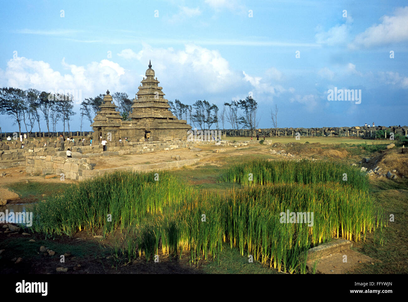 Shore temple Mamallapuram Mahabalipuram ; ; ; Tamil Nadu Inde Banque D'Images