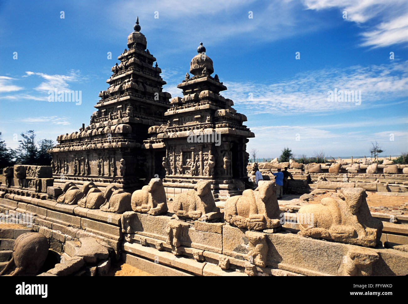 Shore temple Mamallapuram Mahabalipuram ; ; ; Tamil Nadu Inde Banque D'Images