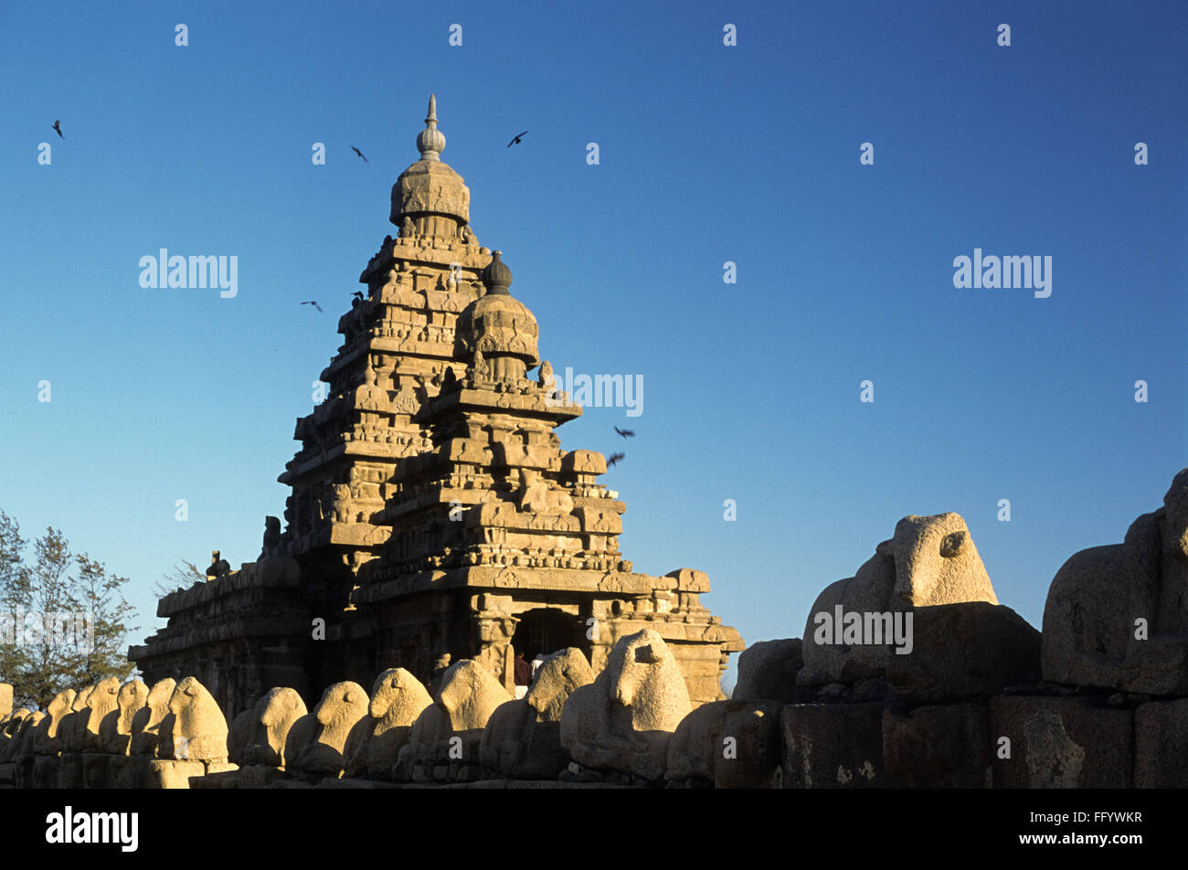 Shore temple Mamallapuram Mahabalipuram ; ; ; Tamil Nadu Inde Banque D'Images