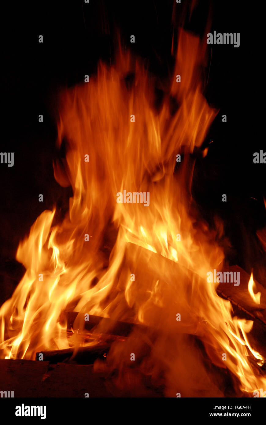 Festival des couleurs Holi gros plans de célébration à feu , Dadar Bombay Mumbai , MAHARASHTRA , INDE Banque D'Images