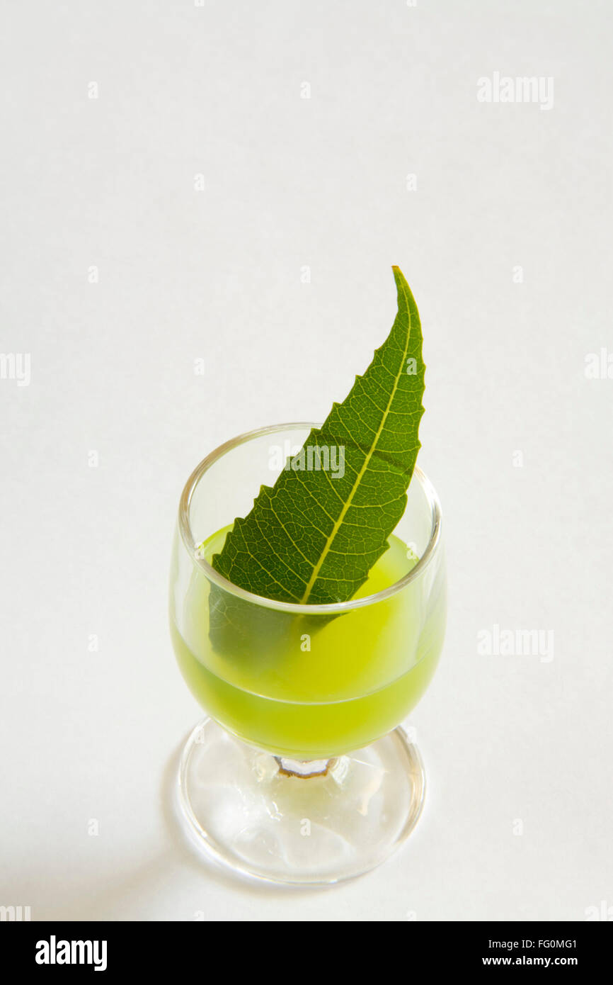 Verre , ou à l'intérieur des feuilles de neem Margosa verre de jus Melia Azadirachta médecine merveilleuse Banque D'Images