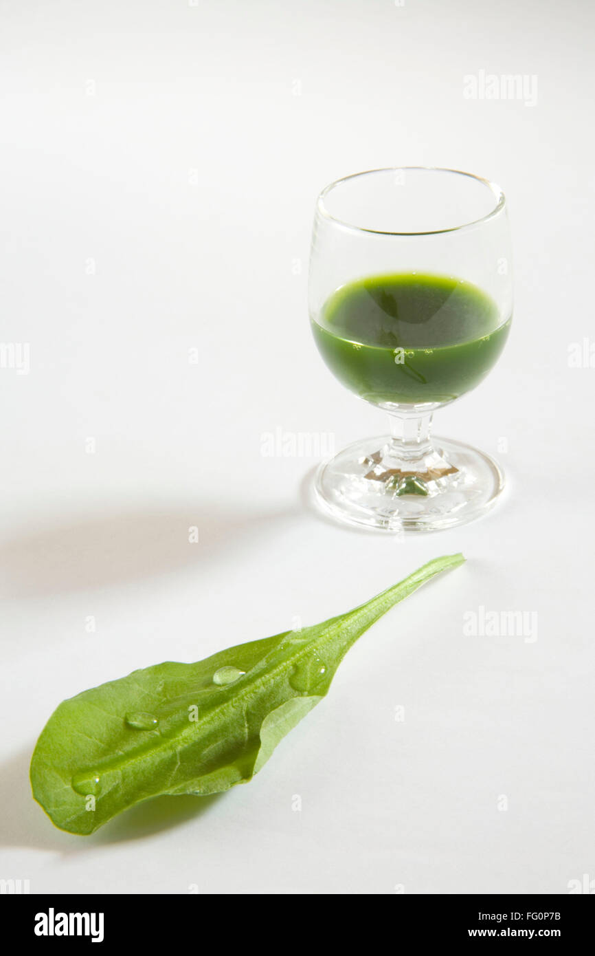 Légumes verts jus d'épinards contre fond blanc , Inde , rus ka Panir aux épinards Banque D'Images