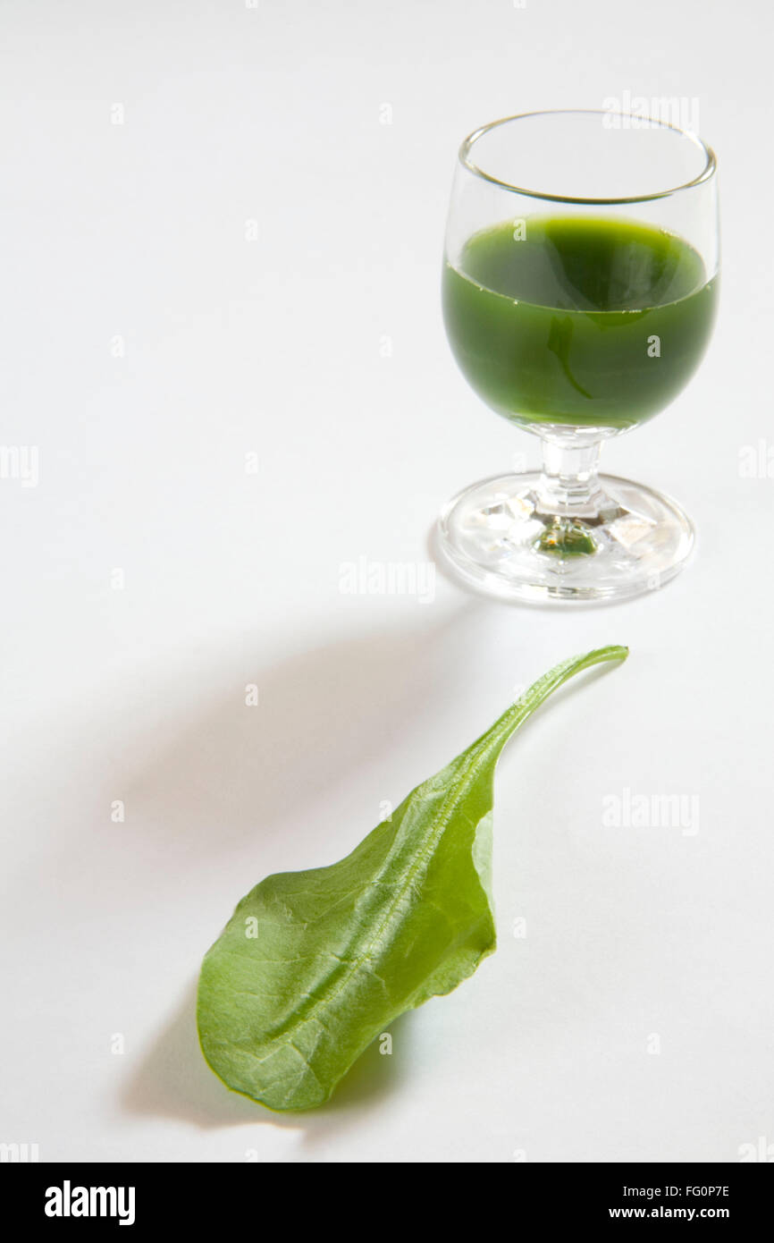 Légumes verts jus d'épinards contre fond blanc , Inde , rus ka Panir aux épinards Banque D'Images