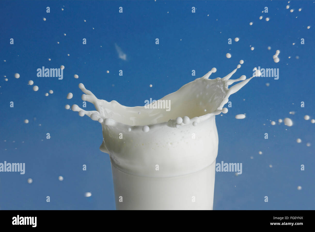 Boire du lait , projection de verre sur fond bleu Banque D'Images