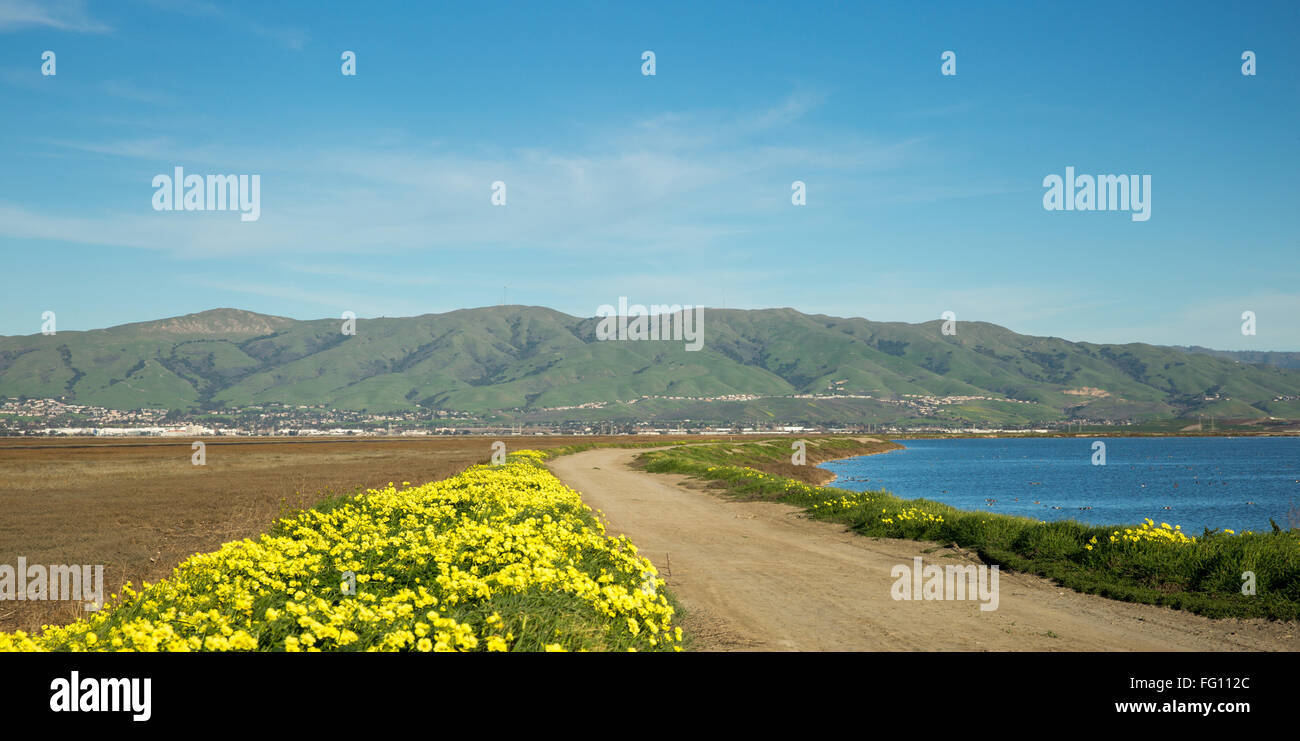 Vues sur Mission Peak, Monument Peak et Mt Allison de la chaîne Diablo à Springtime Banque D'Images