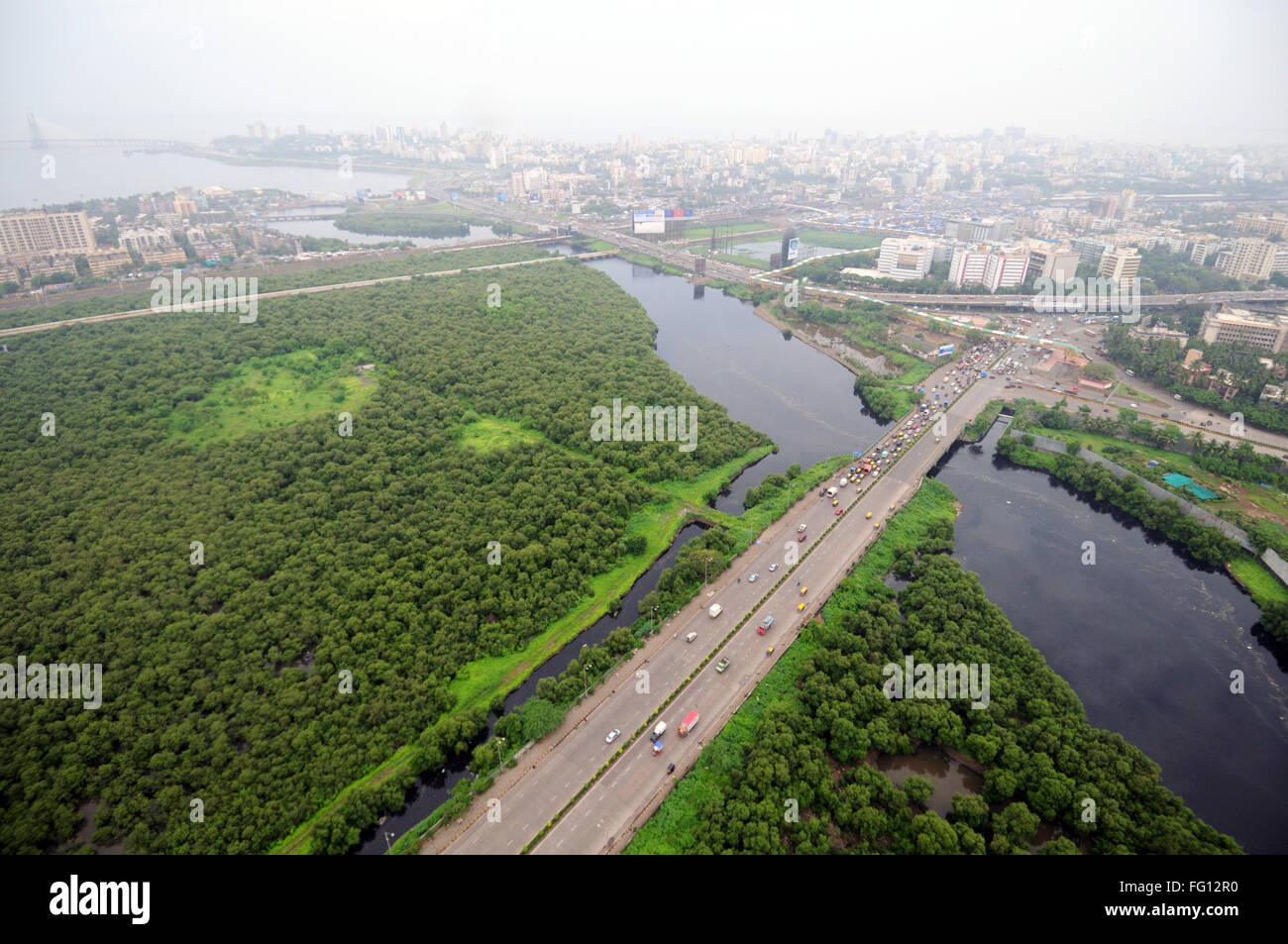 Vue aérienne des mangroves du fleuve Mithi sur la route de liaison Dharavi Bandra ; Bombay ; Mumbai ; Maharashtra ; Inde Banque D'Images