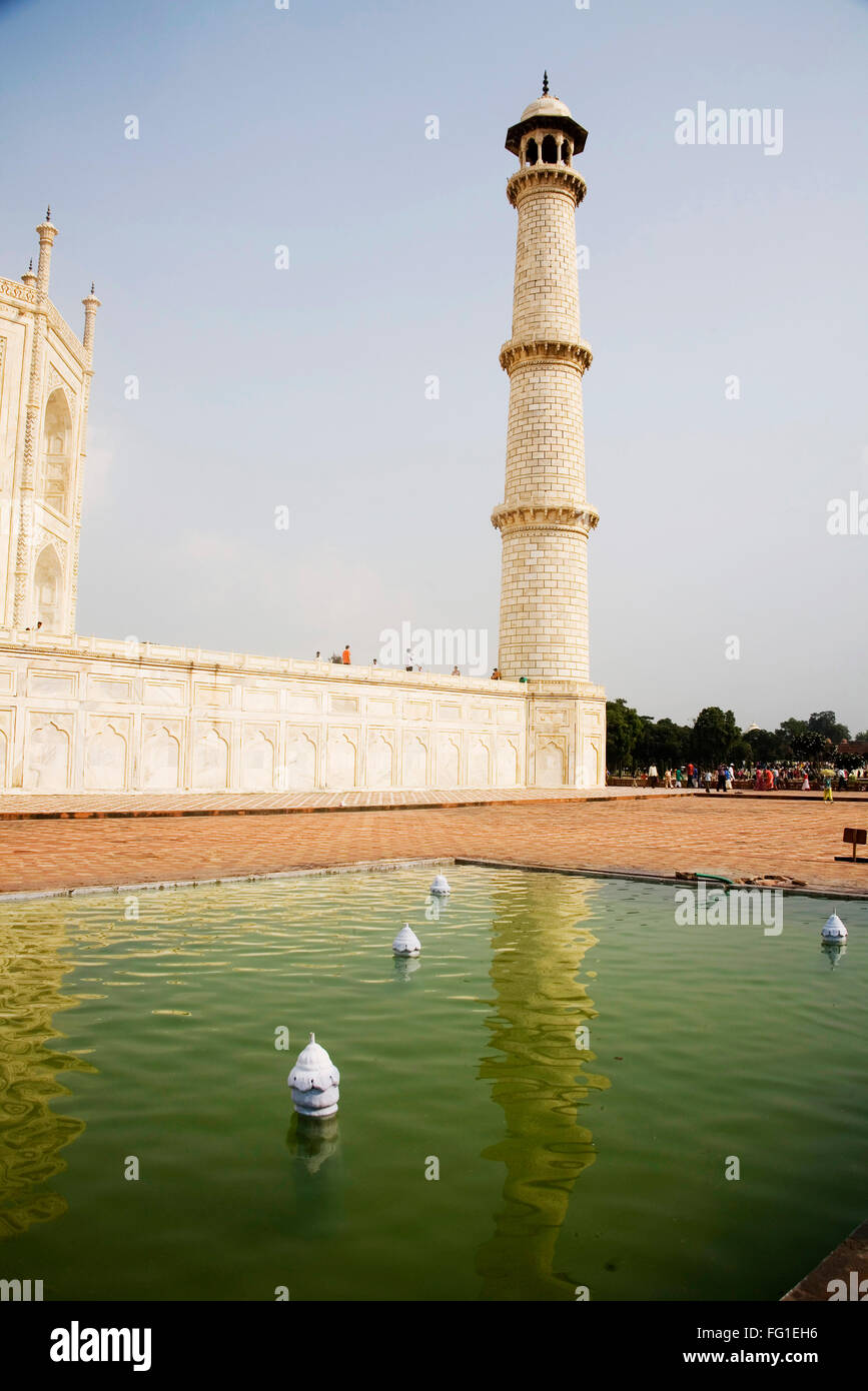 Simple pilier de marbre blanc Taj Mahal sept merveilles du monde , , Uttar Pradesh, Inde Banque D'Images