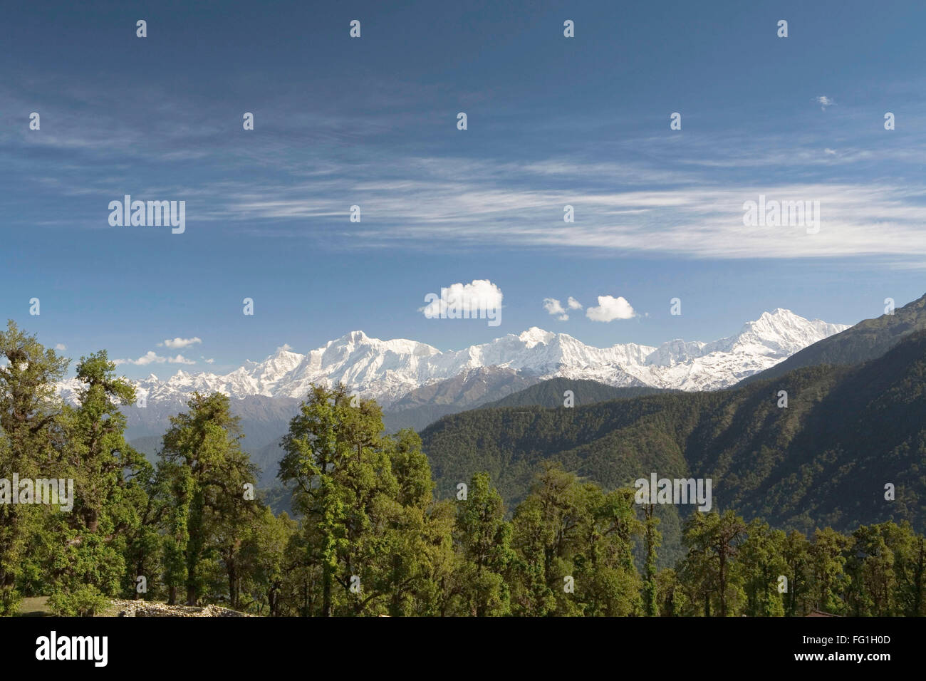 Sommets du Garhwal Himalaya vu de Chopta , l'Uttaranchal , Inde Banque D'Images