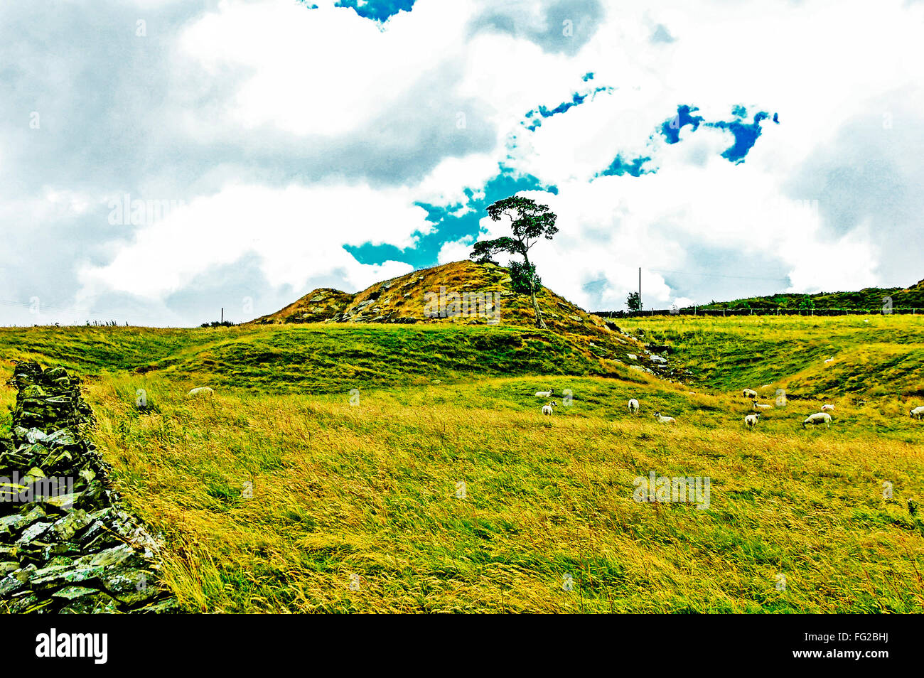 Bronte Country Yorkshire, West Riding Banque D'Images