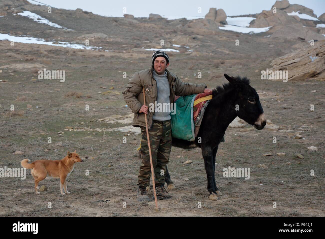 Berger d'Azerbaïdjan à côté d'âne avec chien. Un mode de vie traditionnel demeure pour des éleveurs à Lokbatan Banque D'Images