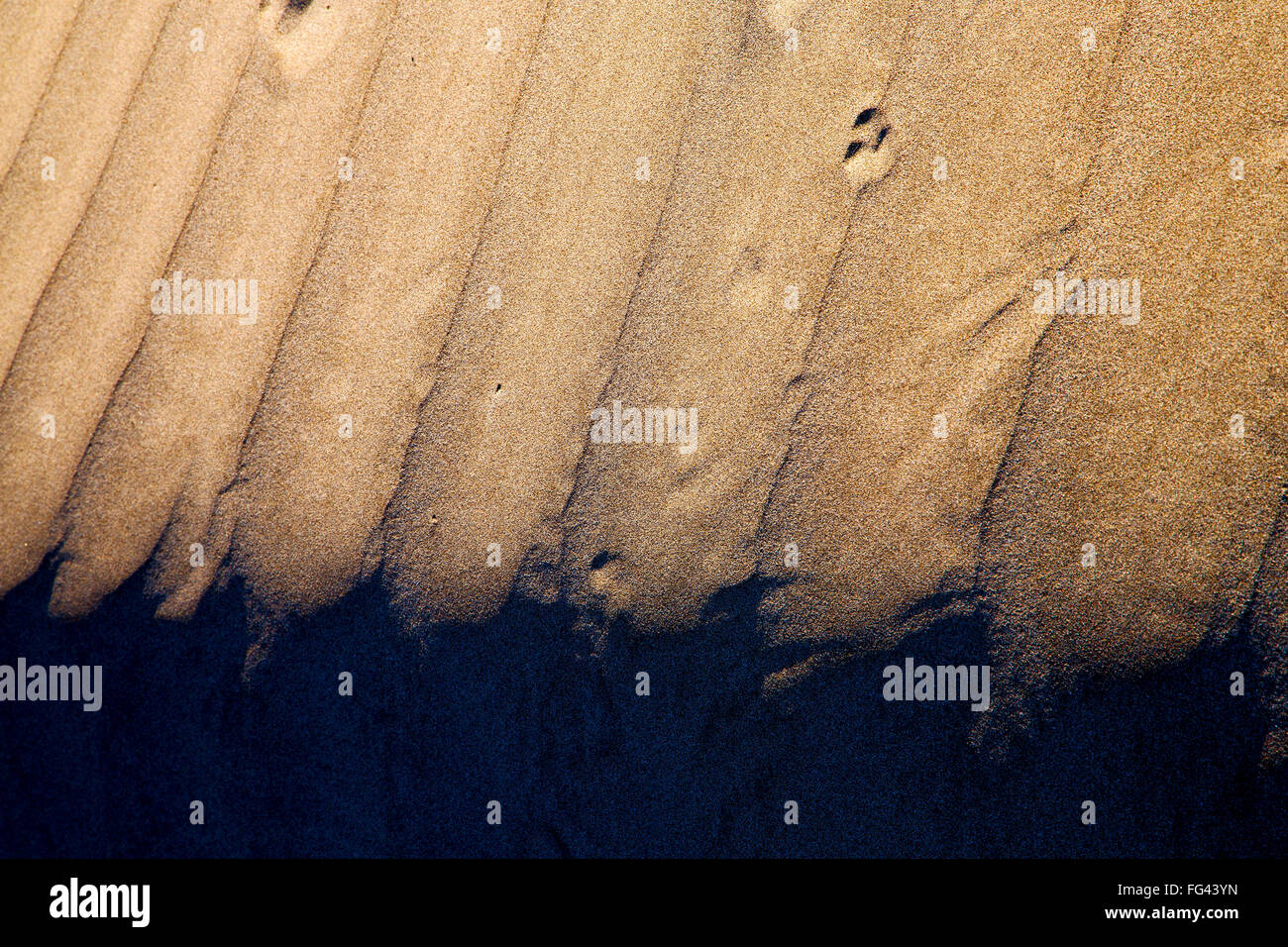 En Lanzarote Espagne résumé d'une texture de sable sec et la plage Banque D'Images