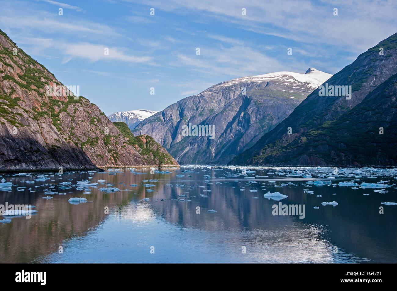 Des icebergs dans le fjord Tracy Arm près de Sawyer Les glaciers du sud-est de l'Alaska Banque D'Images