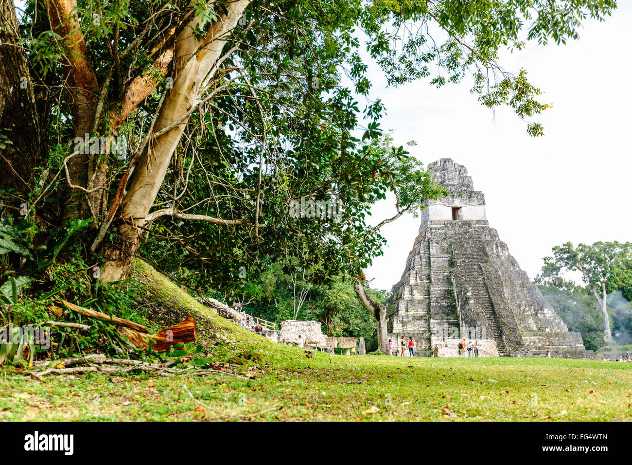 Temple de Tikal I (Temple du Grand Jaguar) dans la place principale de Tikal, Guatemala Banque D'Images