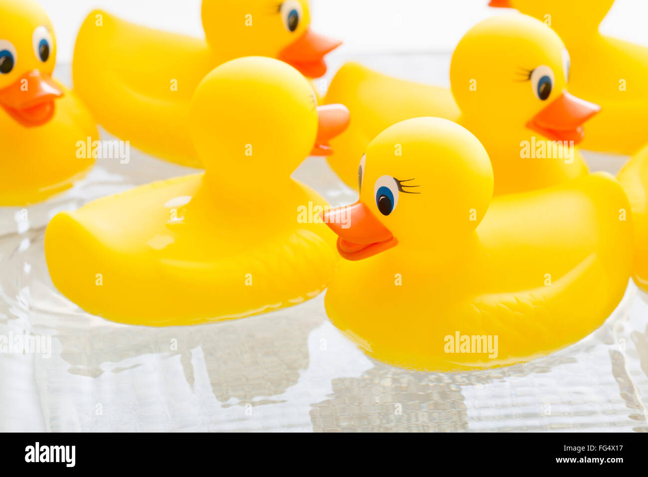 Canards en caoutchouc flottant sur l'eau Banque D'Images