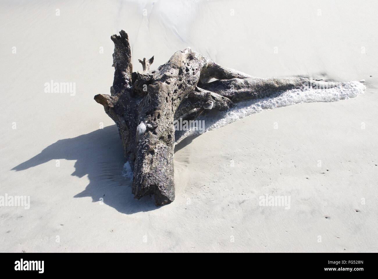 Driftwood enfouies dans le sable avec des bulles océan Banque D'Images