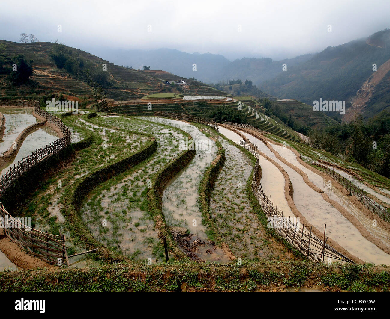 Rizières en terrasses de sapa Banque D'Images