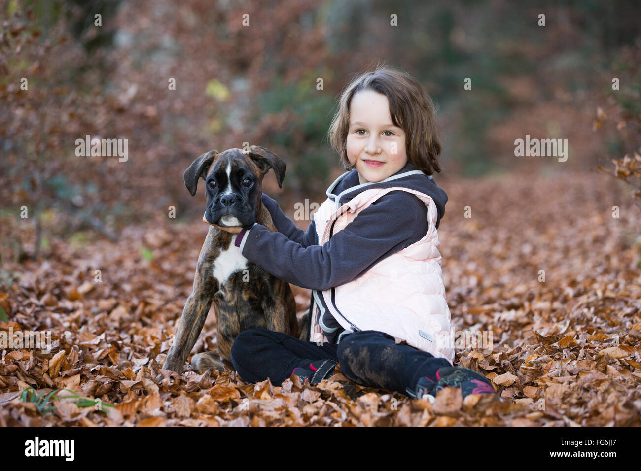 Chiot Boxer assis avec petite fille dans les feuilles d'automne Banque D'Images