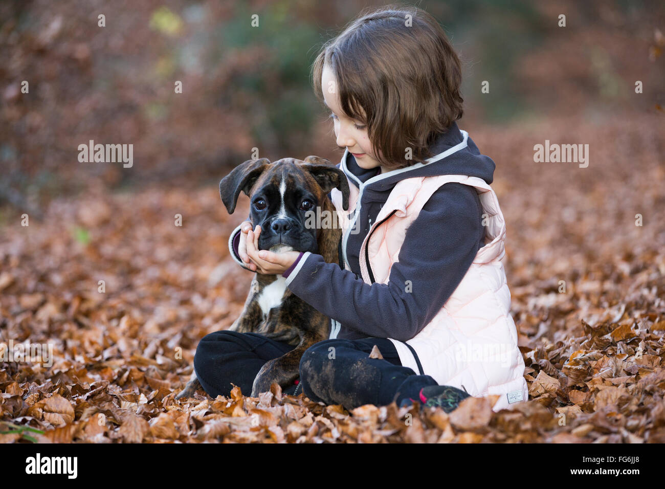 Chiot Boxer assis avec petite fille dans les feuilles d'automne Banque D'Images