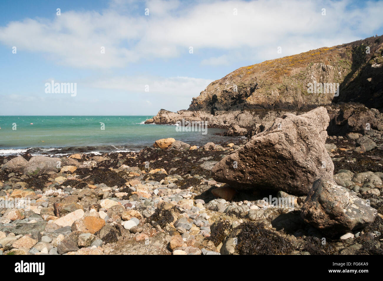 Martin's Haven vue depuis le Deer Park Banque D'Images