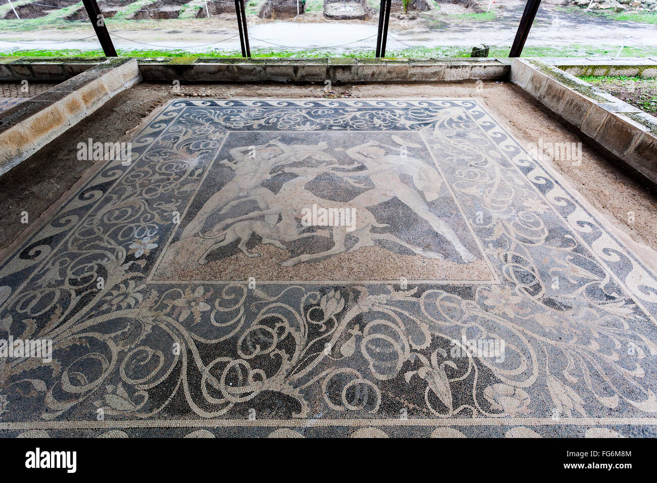 Mosaïque de la chasse au cerf à l'étage ; Pella, Macédoine, Grèce Banque D'Images