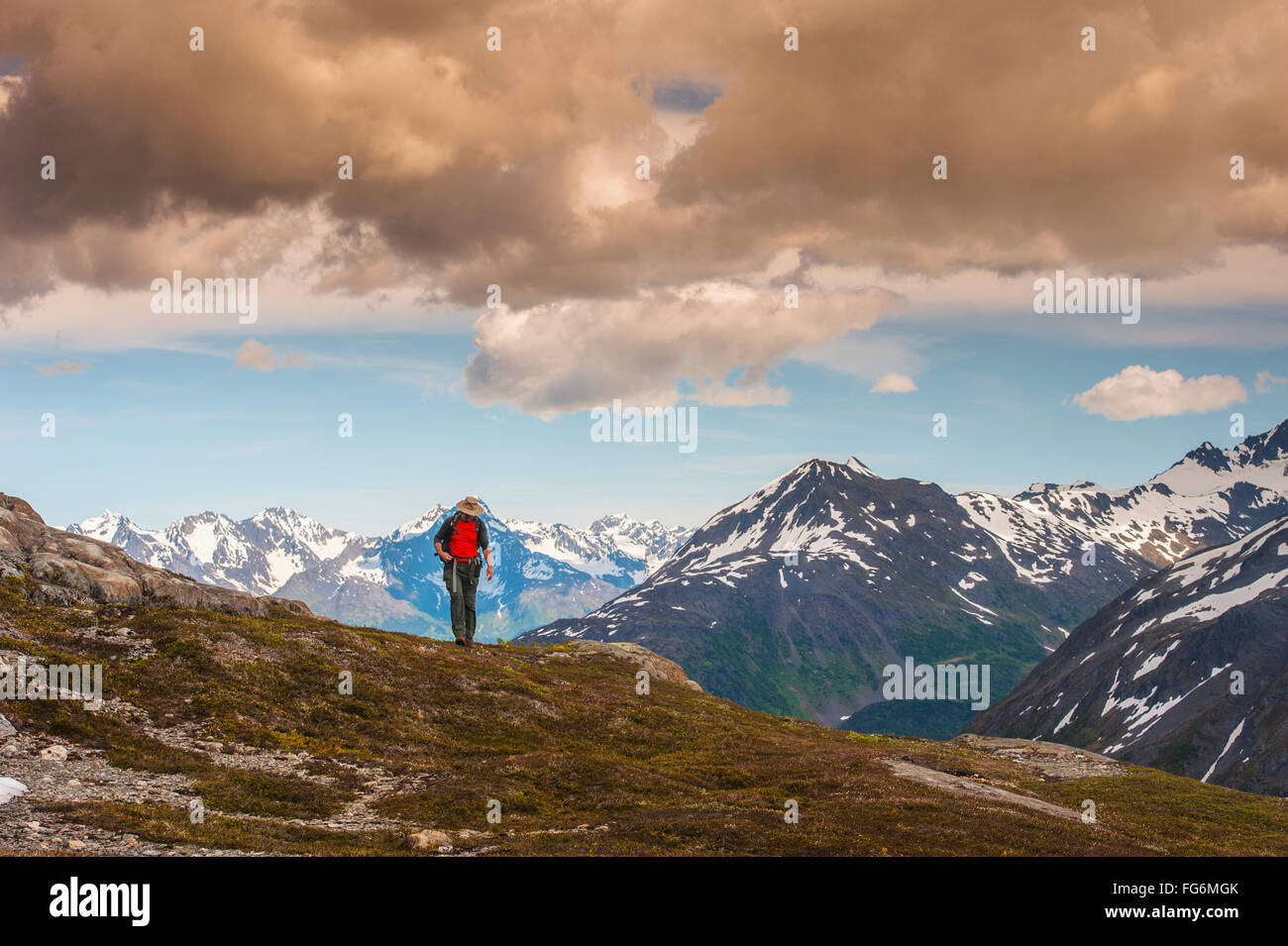 Un homme randonnée à pied près du sentier de l'Icefield de Harding avec les montagnes de Chugach et la vallée de la Résurrection en arrière-plan, Parc national de Kenai Fjords, ... Banque D'Images