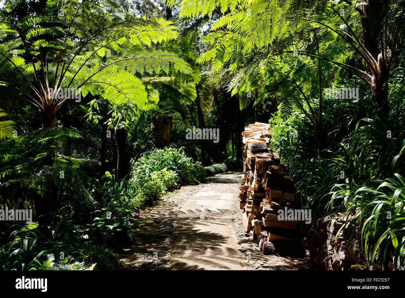 Géographie / voyage, Portugal, Madère, Monte, jardin botanique, Additional-Rights Clearance-Info-giliano residence,-Not-Available Banque D'Images