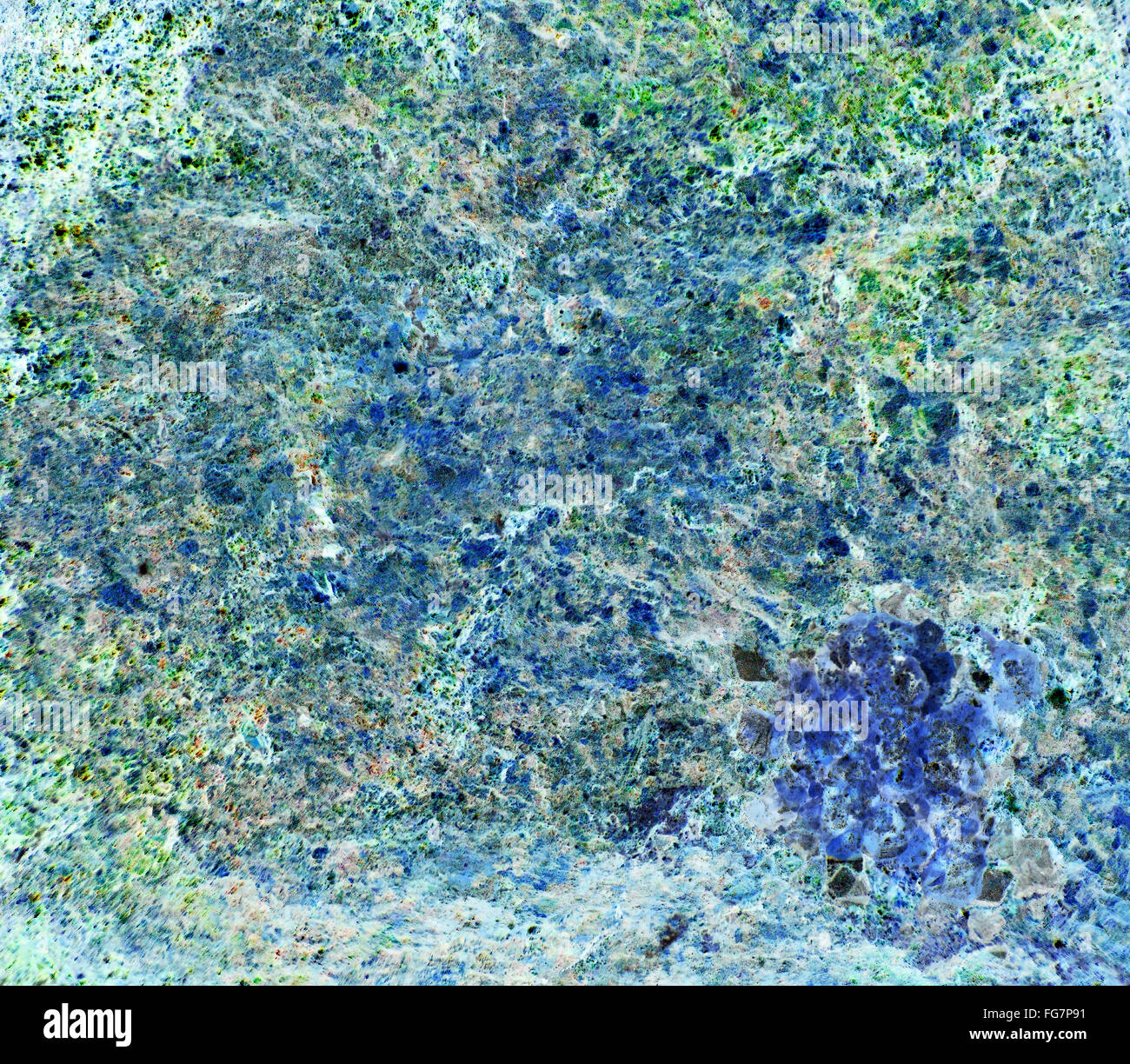 Abstract design dans la nature. Banque D'Images