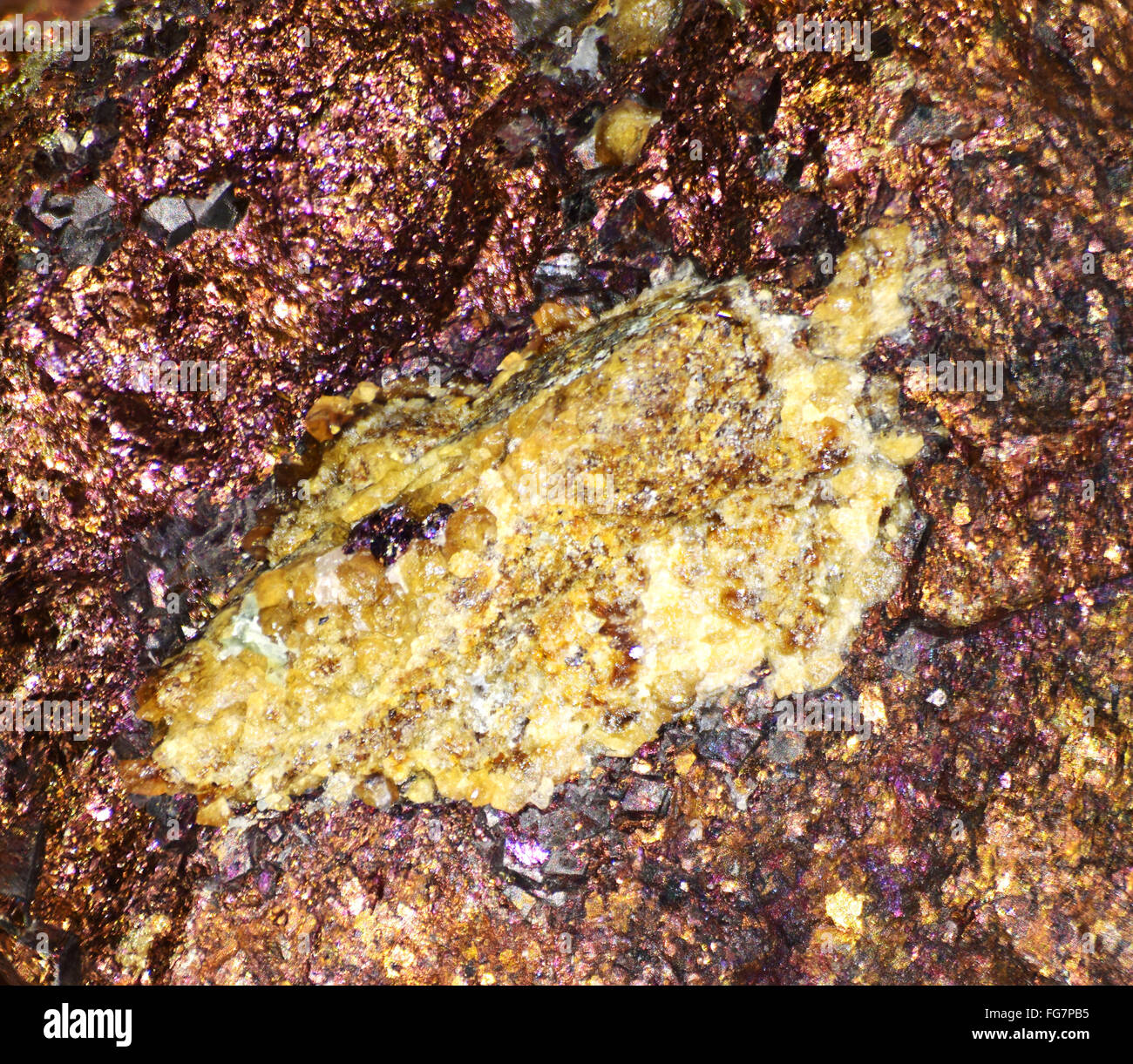 Abstract design dans la nature. Banque D'Images