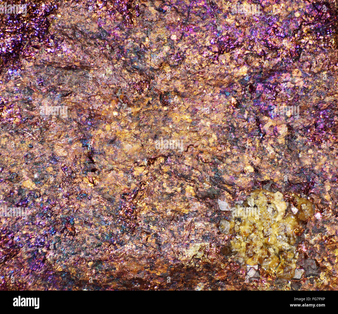 Abstract design dans la nature. Banque D'Images