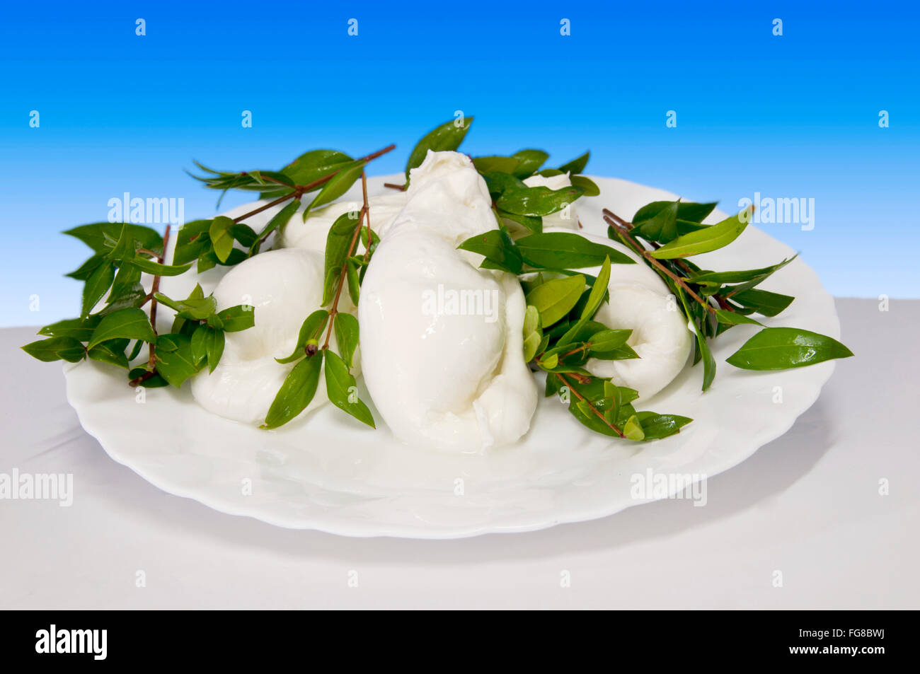 La nourriture italienne mortella de mozzarella de Buffalo Banque D'Images