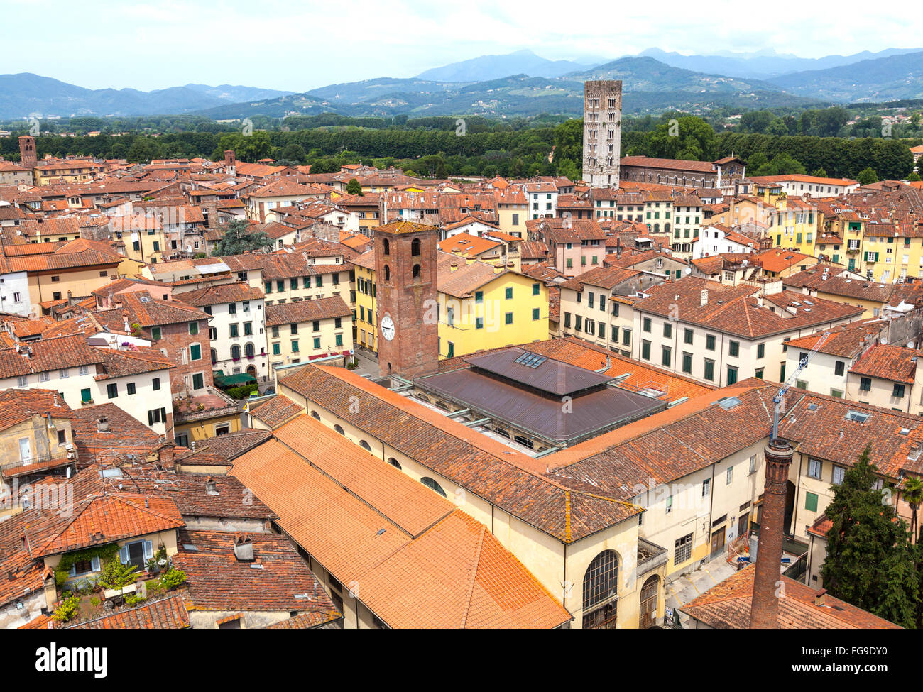 Birds Eye View, de Lucca, de la Tour Guinigi Banque D'Images