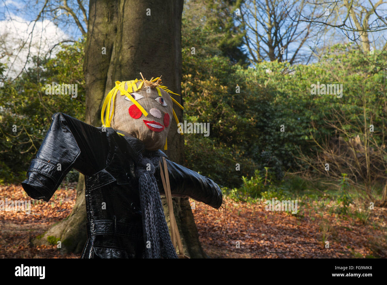 Knutsford, Cheshire, 18 février, 2016. Épouvantails inspirés par les personnages de Roald Dahl sont la prise en charge de Tatton Park's gardens ce terme la moitié de février pour célébrer le lancement de Roald Dahl's Adventures à l'extraordinaire, l'un de Tatton un certain nombre d'événements qui auront lieu pendant les célébrations de Roald Dahl 100. Credit : MarPhotographics/Alamy Live News Banque D'Images