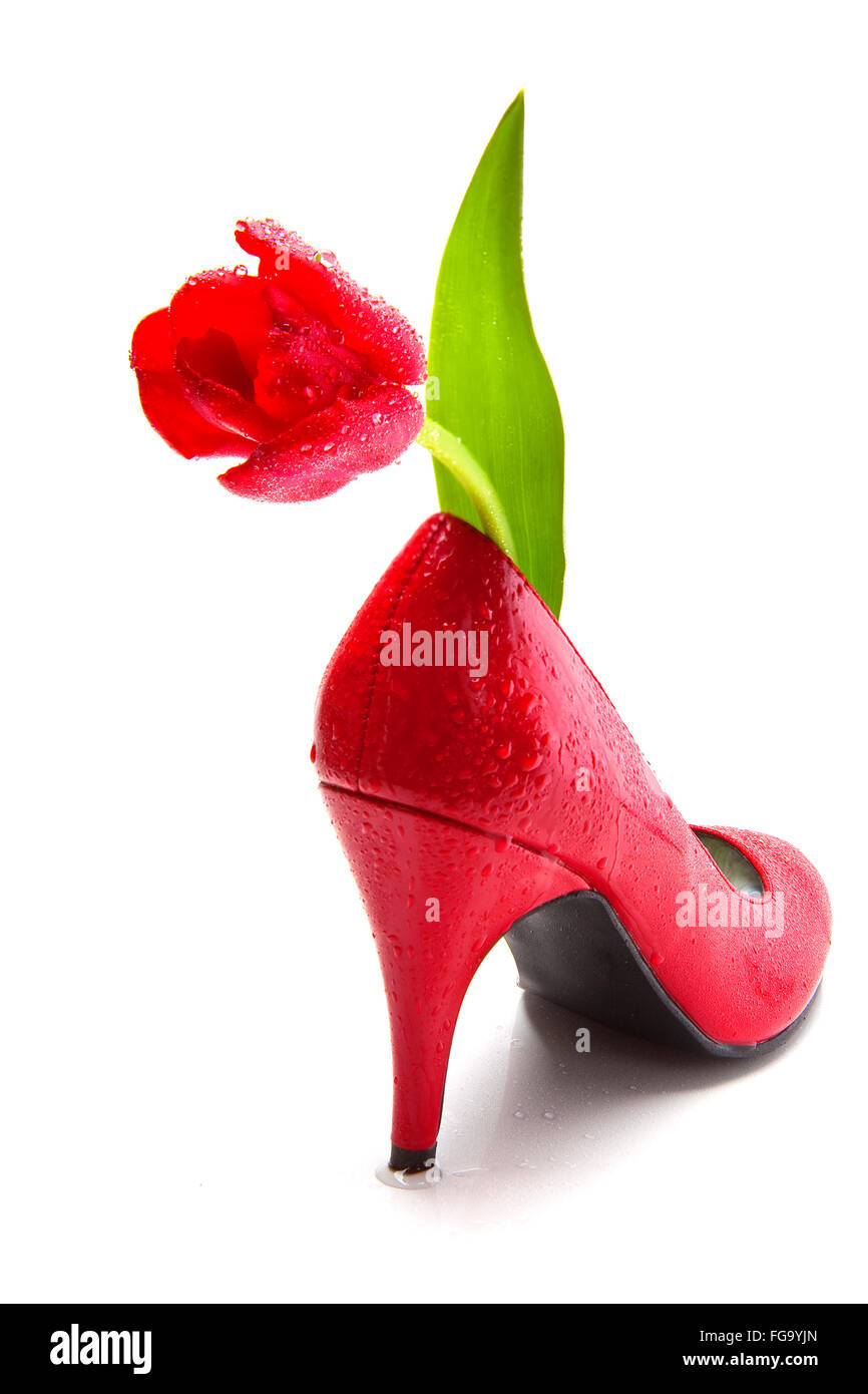 Tulipe rouge en chaussures haut talon Banque D'Images