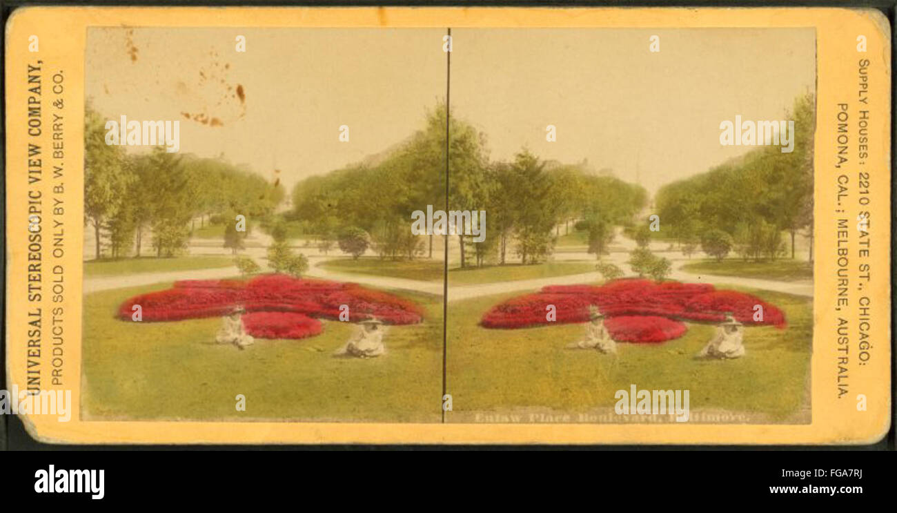 Une photographie du boulevard Eutaw place à Baltimore, capturée par Universal Stereoscopic View Co. L'image montre le boulevard bordé d'arbres et l'architecture environnante, mettant en valeur l'urbanisme et l'aménagement paysager de la région. Banque D'Images