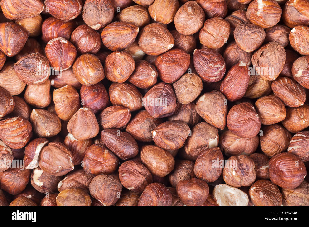 Close up photo de noisettes. Banque D'Images