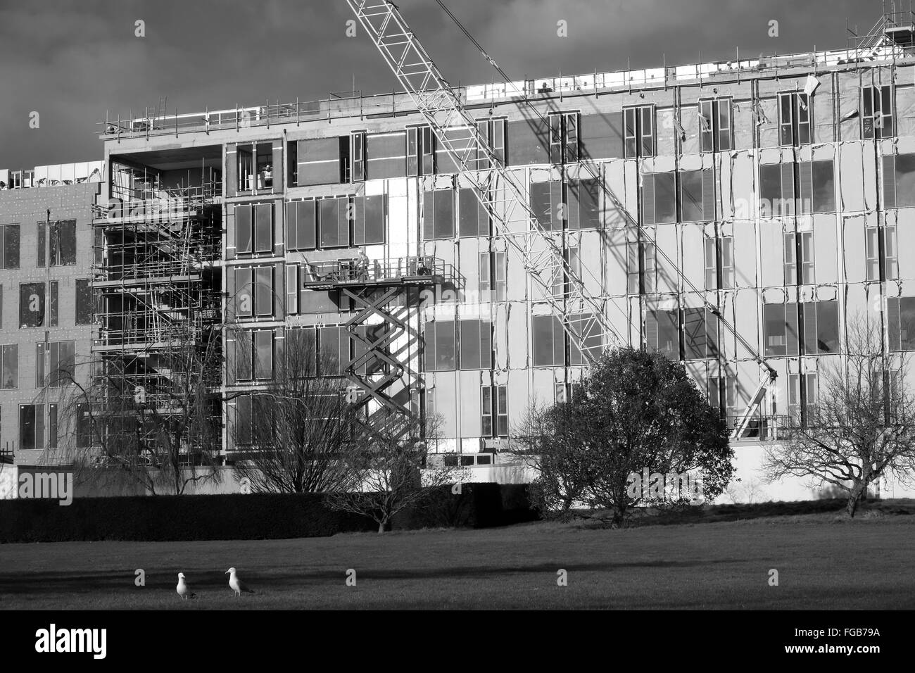 Bâtiment et travaux publics de développement en cours à l'Université de Bath, l'une des universités de premier plan. Février 2016 Banque D'Images