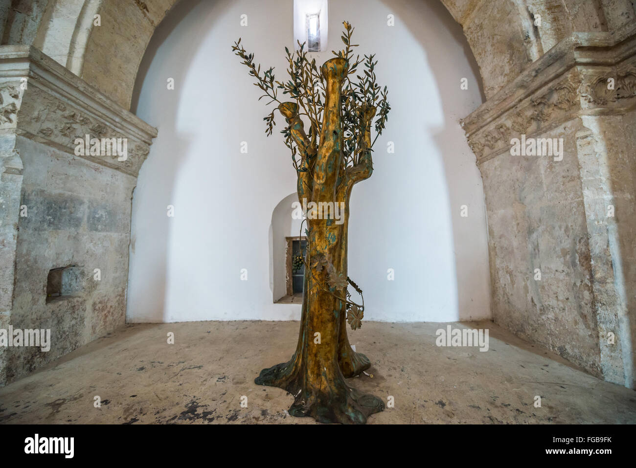 Arbre généalogique Olive sculpture dans le cénacle - Cénacle, lieu d'être un Cénacle sur le Mont Sion à Jérusalem, Israël Banque D'Images