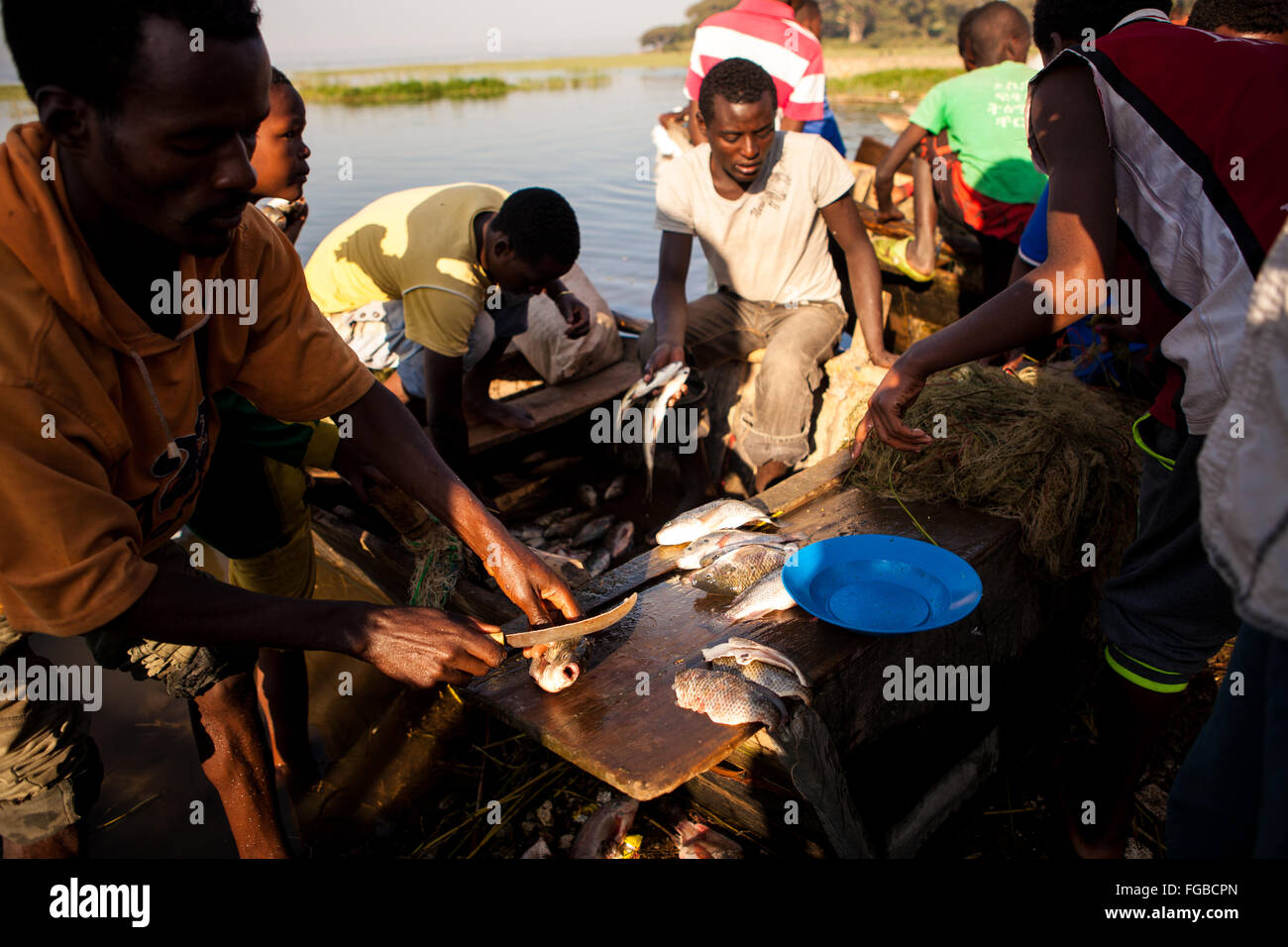 Les pêcheurs préparent leurs poissons fraîchement pêchés. Afrique L'Éthiopie Hawassa Lake Banque D'Images