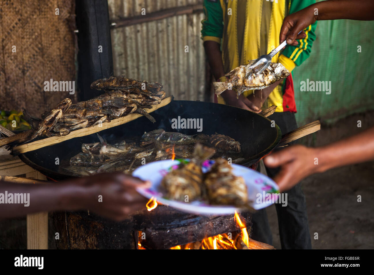 Le poisson fraîchement pêché Talapia avoir ingurgité à l'extérieur d'une cabane sur les rives du lac de Hawassa, Éthiopie, Afrique. Banque D'Images