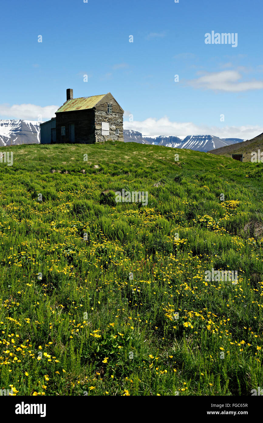 Paysage de montagne dans chalet abandonné, Keldudalur Vallée, Hraun, Westfjords, l'Islande, l'Europe. Banque D'Images