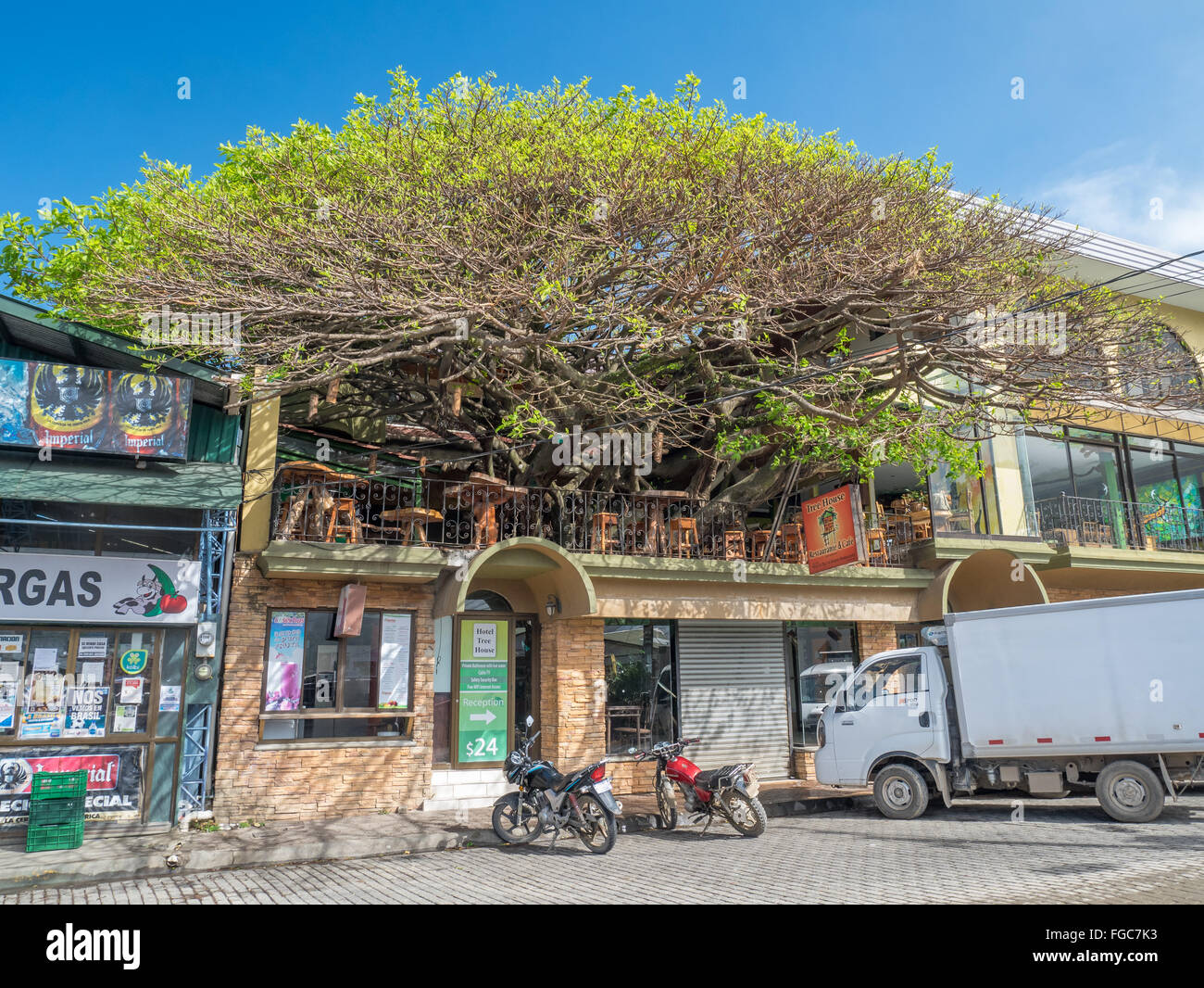 Tree house costa rica restaurant Banque de photographies et d’images à
