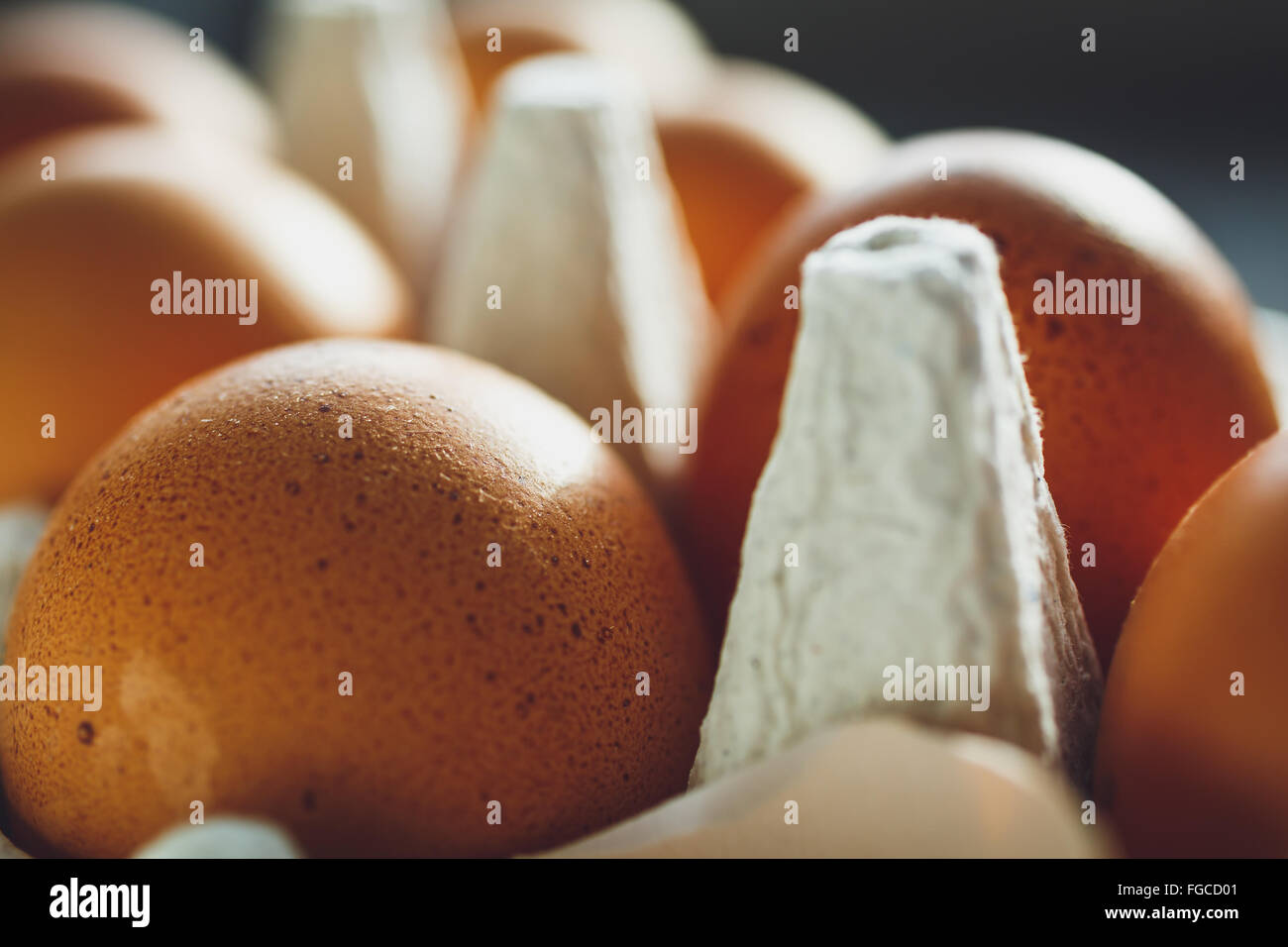 Les oeufs de poule dans le bac d'oeufs Banque D'Images