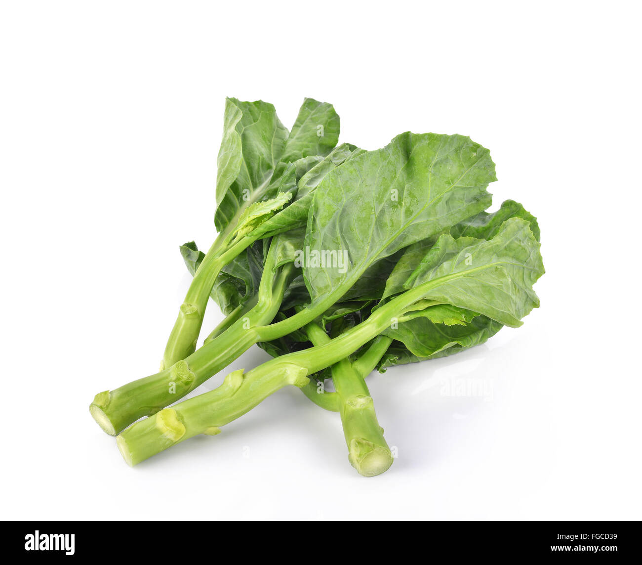 Kale sur fond blanc Banque D'Images